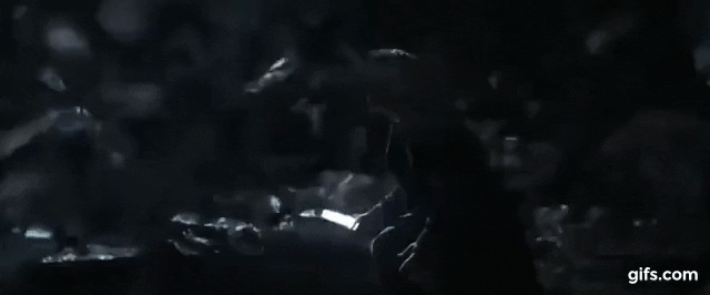 Un murciélago apareció en función de The Batman en un cine Cinépolis de Austin Texas - Blog Hola Telcel 