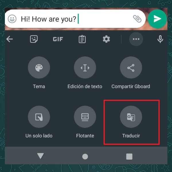Traduce tus mensajes sin salir de WhatsApp - Blog Hola Telcel