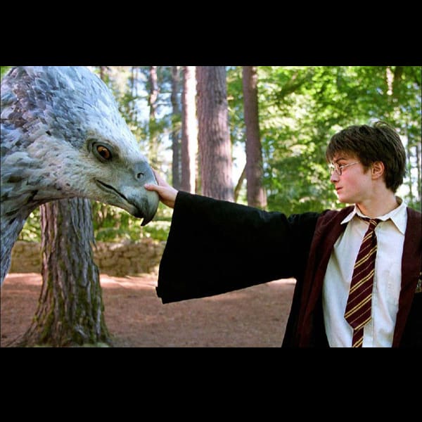 Montar un hipogrifo es una de las actividades del evento de Harry Potter en CDMX - Blog Hola Telcel