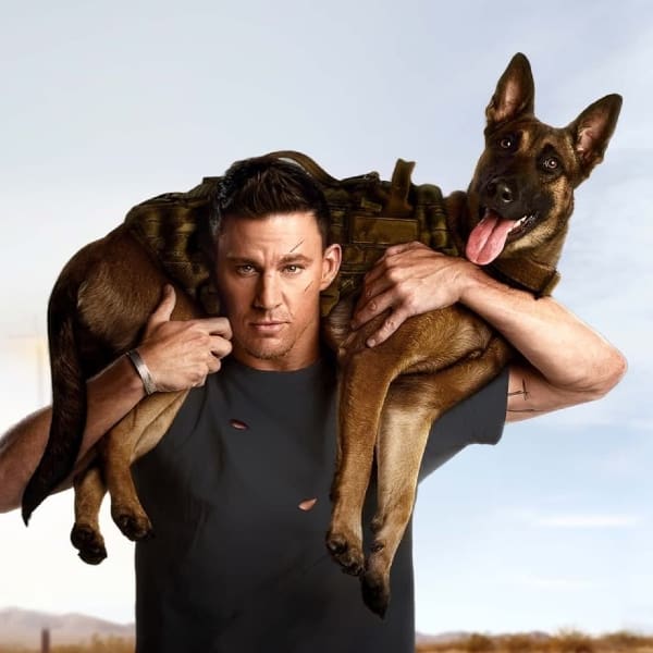 Cinemex recibe a perros en sus salas para ver Morbius junto a sus dueños - Blog Hola Telcel