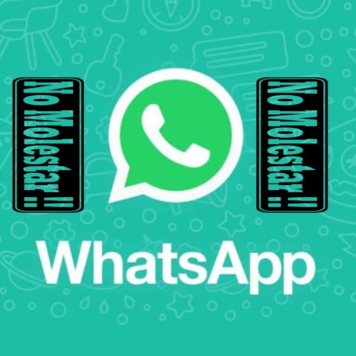 Desde Android y iPhone puedes desactivar las notificaciones de WhatsApp para chats grupales e individuales - Blog Hola Telcel