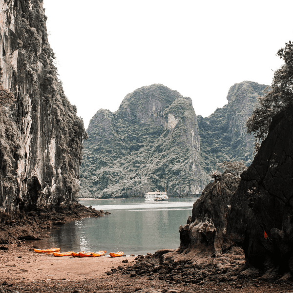 Descubren bosque subterráneo en China.-Blog Hola Telcel