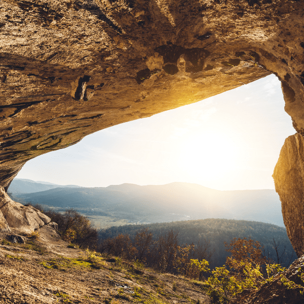 Bosque subterráneo descubierto en China.-Blog Hola Telcel