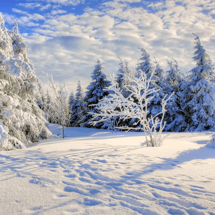 Cuando Perséfone se encuentra en el inframundo junto a Hades es cuando hace frío porque Démeter su madre está triste.- Blog Hola Telcel