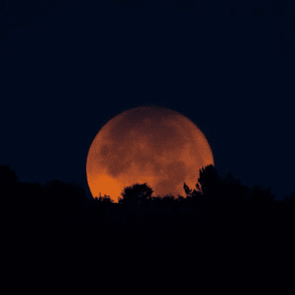 La superluna es un evento astronómico increíble, así fue la ultima del año.-Blog Hola Telcel