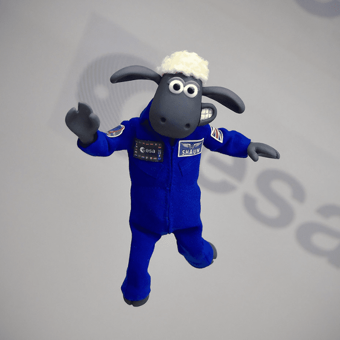 Shaun el cordero flota en su entrenamiento espacial en los Estados Unidos.- Blog Hola Telcel