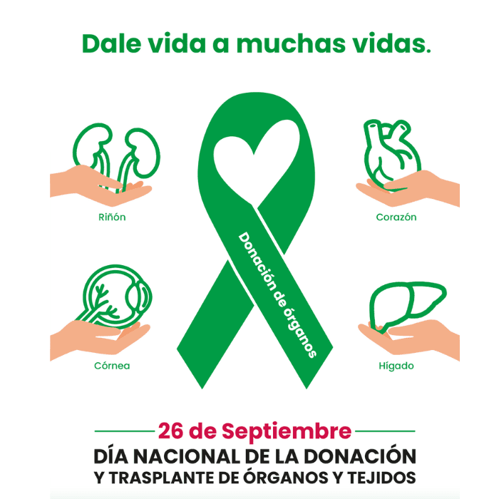 Dona tus órganos y conviértete en uno de los Héroes por la vida. Cómo ser un donador con credencial- Blog Hola Telcel