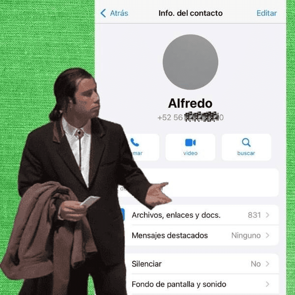 Aprende el truco para poner tu información en blanco en WhatsApp.-Blog Hola Telcel