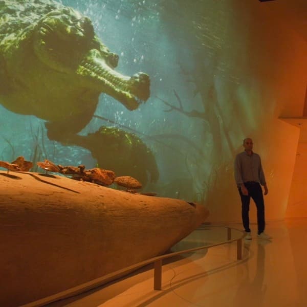 Sumérgete al Museo Nacional de Qatar.-Blog Hola Telcel