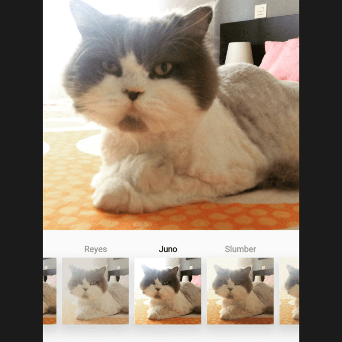 con este filtro puedes mejorar las fotos con luz natural.- Blog Hola Telcel