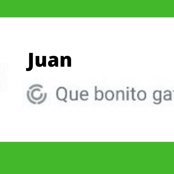 Significado de la letra c en un aro en WhatsApp.-Blog Hola Telcel