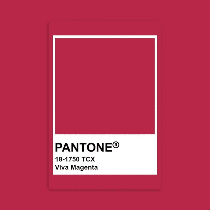 El viva magenta es un color rebelde que inspira alegría.- Blog Hola Telcel