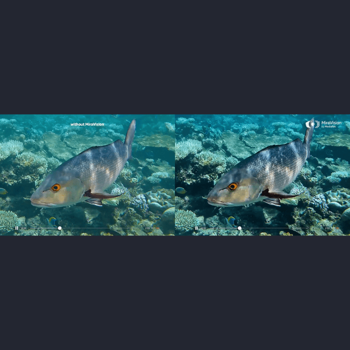 Clear Motion hace que la calidad y el movimiento de los videos de tu smartphone mejore considerablemente.- Blog Hola Telcel