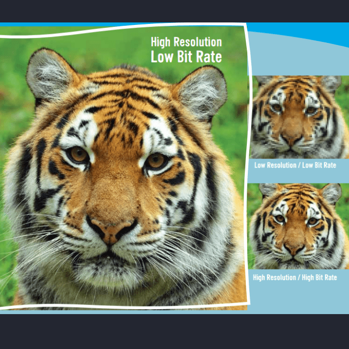 Conoce cómo UltraResolution mejora todas las imágenes de forma automática con IA.- Blog Hola Telcel