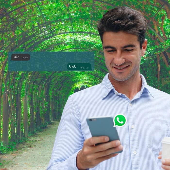 WhatsApp: ¿sabes qué significa que te escriban UwU y 7u7 en la app?.-Blog Hola Telcel