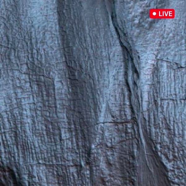 Así sucedió la transmisión en vivo desde Marte.-Blog Hola Telcel