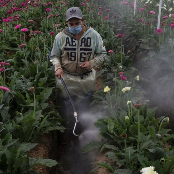 Así se está viviendo el World Press Photo en la CDMX 2023 es sumamente increíble.-Blog Hola Telcel