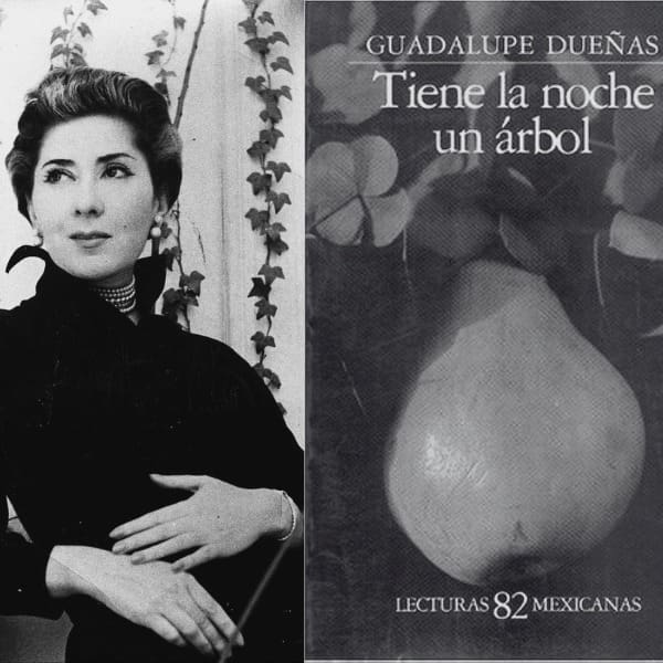 'Tiene la noche un árbol' es uno de los libros de terror más espeluznantes de México.-Blog Hola Telcel