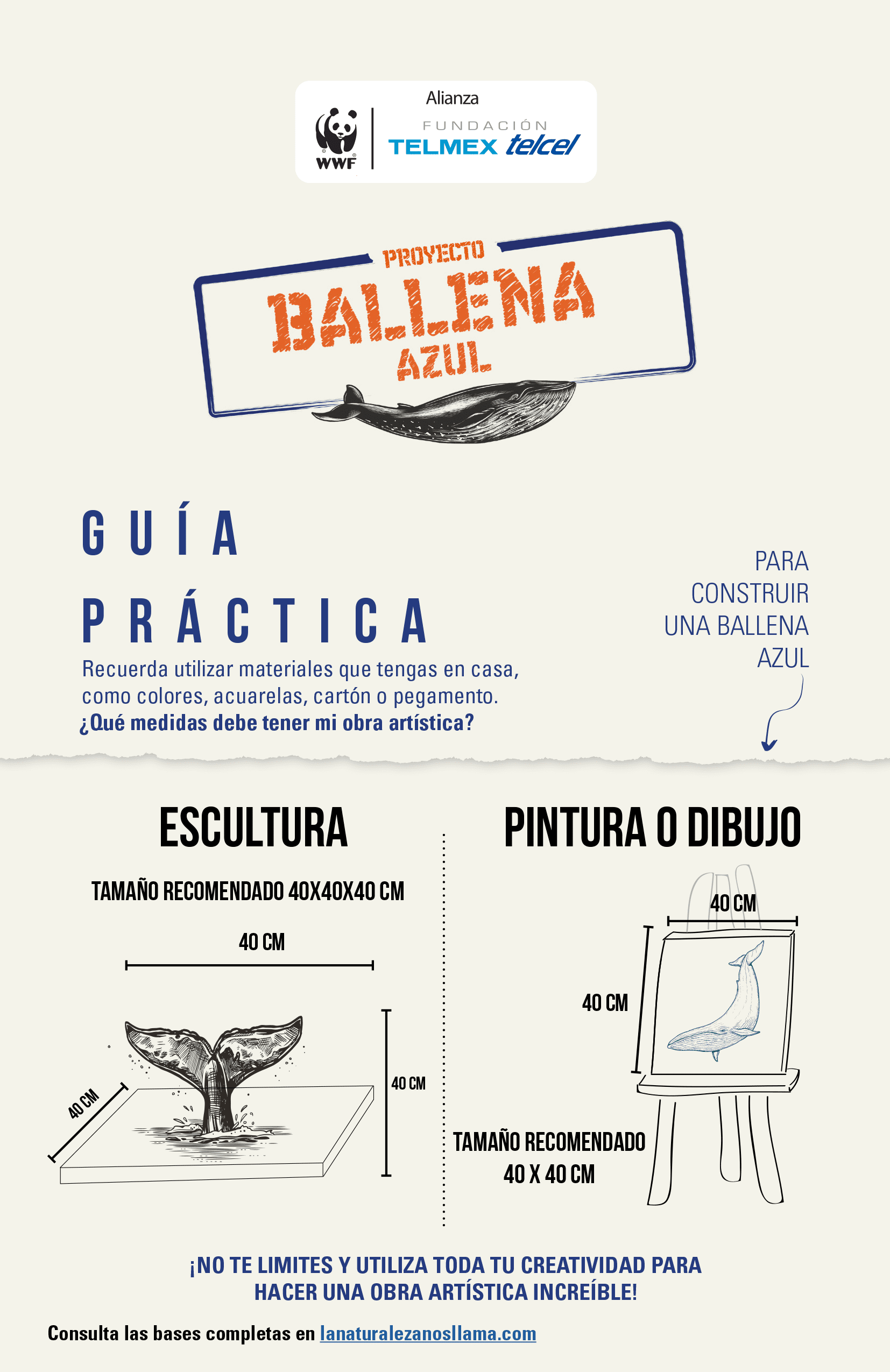 Conoce la guía práctica del proyecto ballena azul y participa.- Blog Hola Telcel