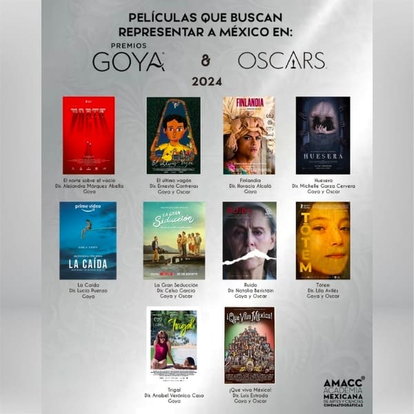Conoce las películas que buscan representar a México en los Premios Óscar.-Blog Hola Telcel