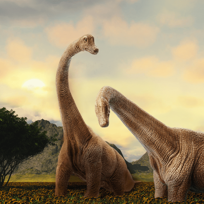 Conoce todo sobre Dinolandia.- Blog Hola Telcel