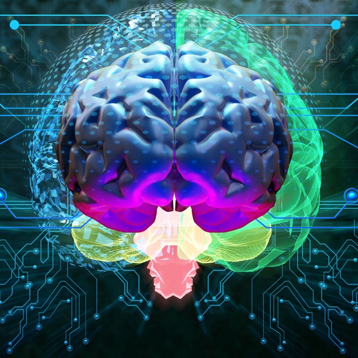 Conoce cómo funcionan los más recientes implantes cerebrales.- Blog Hola Telcel