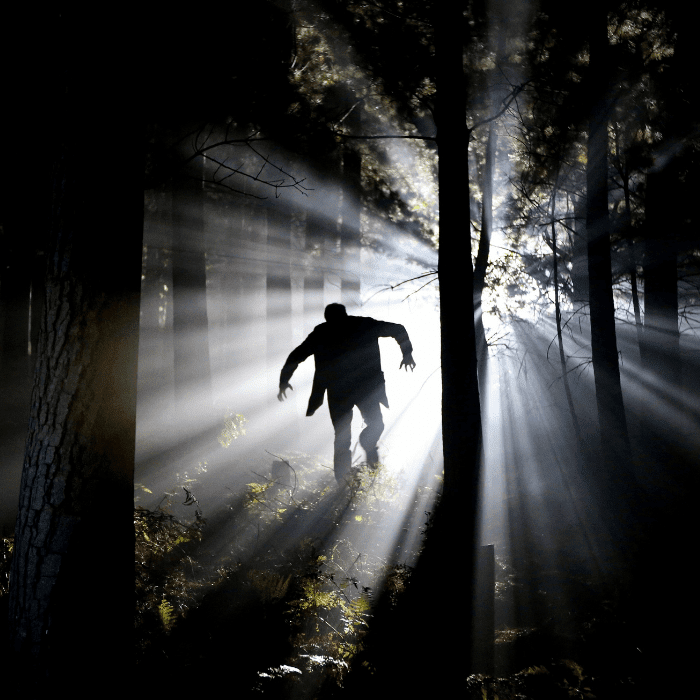 Así será la nueva película de 'Nosferatu'.- Blog Hola Telcel