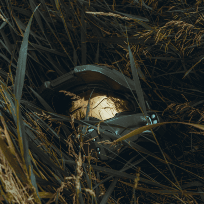 Conoce todo sobre las novedades que Nintendo tiene preparadas.-Blog Hola Telcel