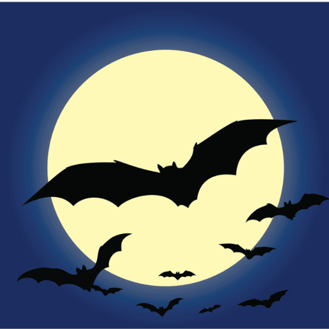 Conoce todo sobre la nueva serie animada de Batman: Caped Crusader clasificación C.- Blog Hola Telcel