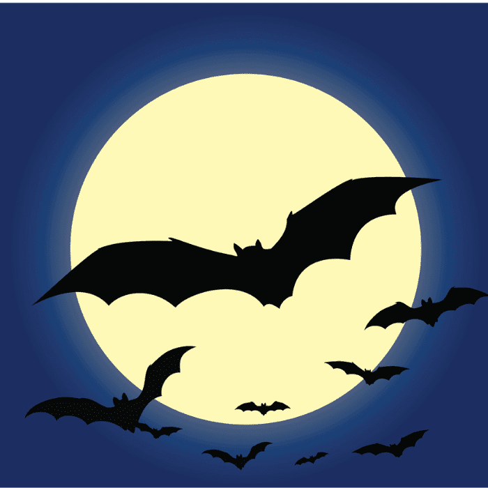 Conoce todo sobre la nueva serie animada de Batman: Caped Crusader clasificación C.- Blog Hola Telcel