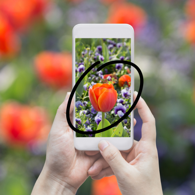 Conoce todo sobre la búsqueda con círculos de Google.- Blog Hola Telcel