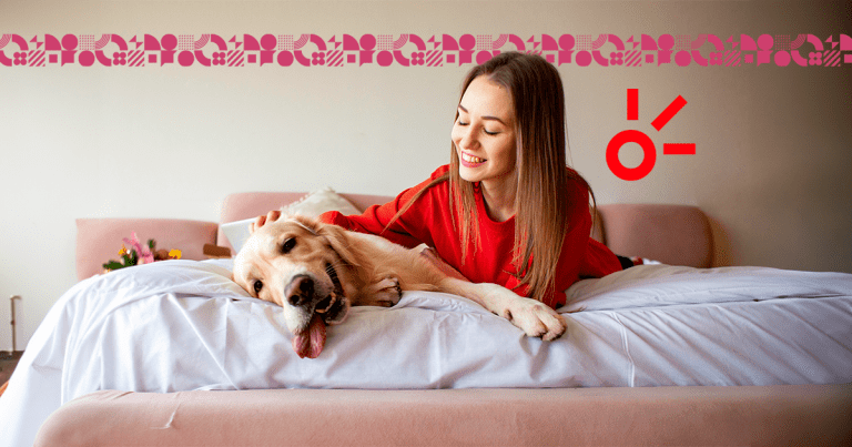 Películas con perros como protagonistas.- Blog Hola Telcel