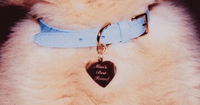 Ya está aquí ‘Man’s Best Friend’ de Sabrina Carpenter.- Blog Hola Telcel