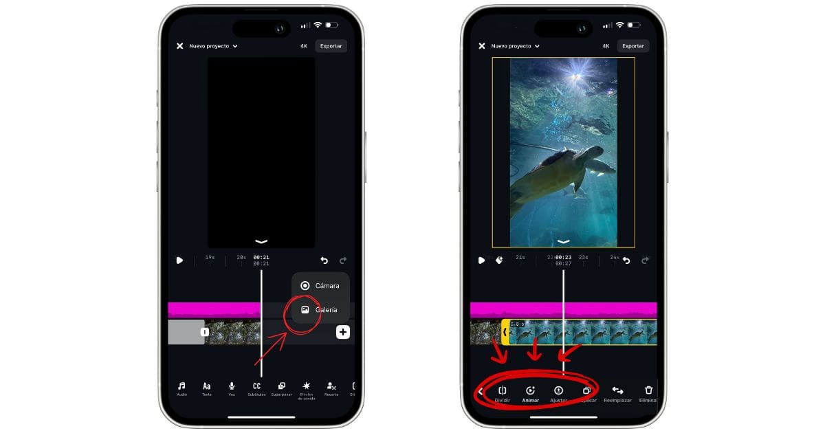 Descubre cómo darle movimiento a tus fotos en Edits.- Blog Hola Telcel